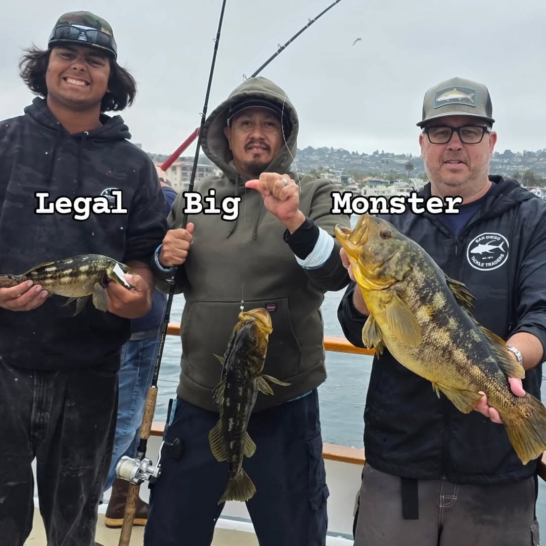 San Diego Tackle Traders — catch photo